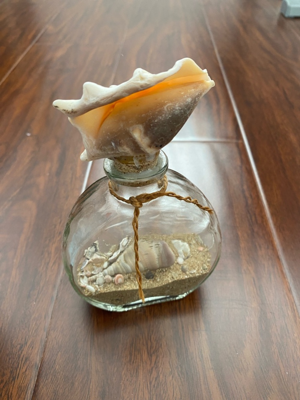 Seashell Decorative Bottle with Natural Shell Accent